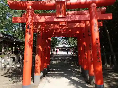 一葉稲荷神社の鳥居