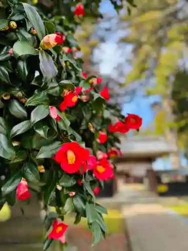 守りの神　藤基神社(新潟県)