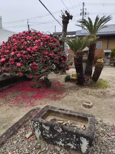 本願別当極楽寺大福院(和歌山県)