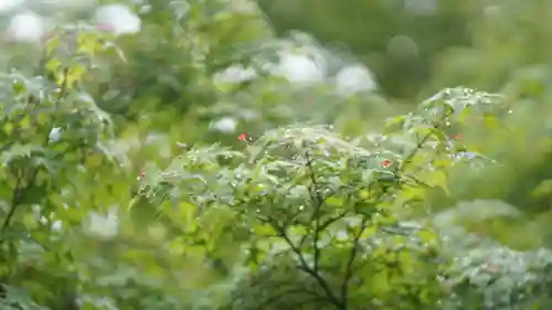 青蓮院門跡(京都府)