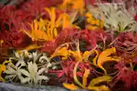 横浜 西方寺(神奈川県)