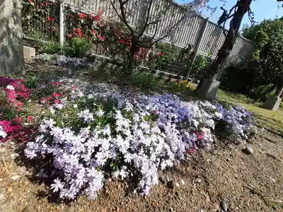 させん堂不動寺(大阪府)