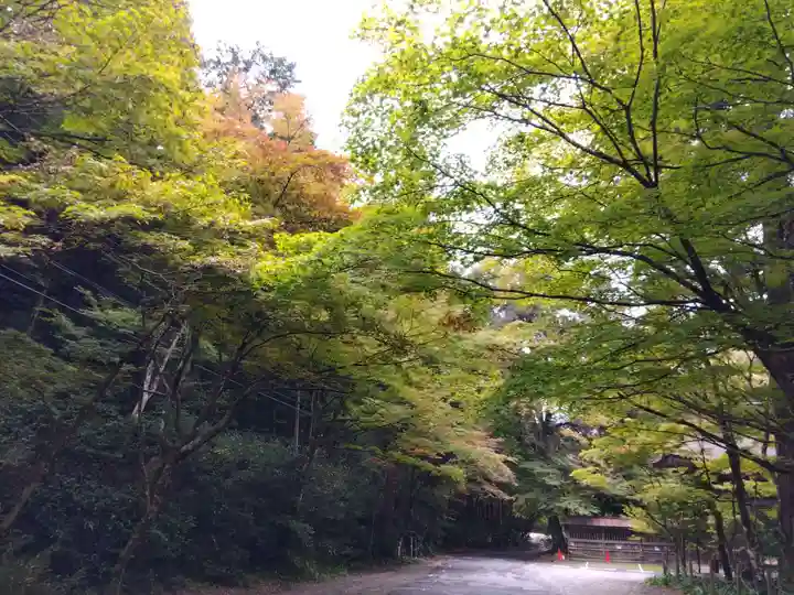 大矢田神社(岐阜県)