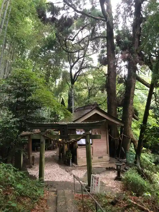 神龍八大龍王神社の鳥居