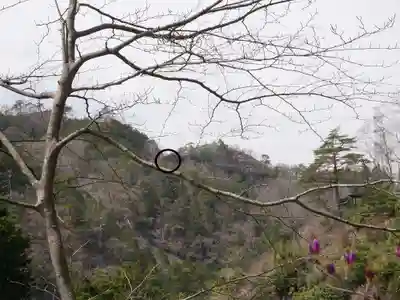 観音院のその他建物