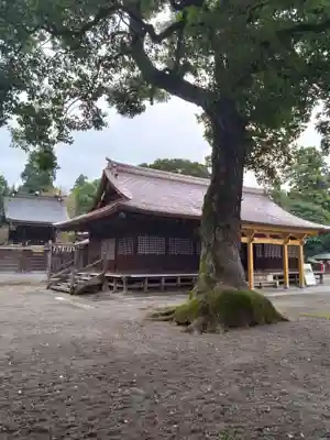 鷲宮神社の本殿・本堂