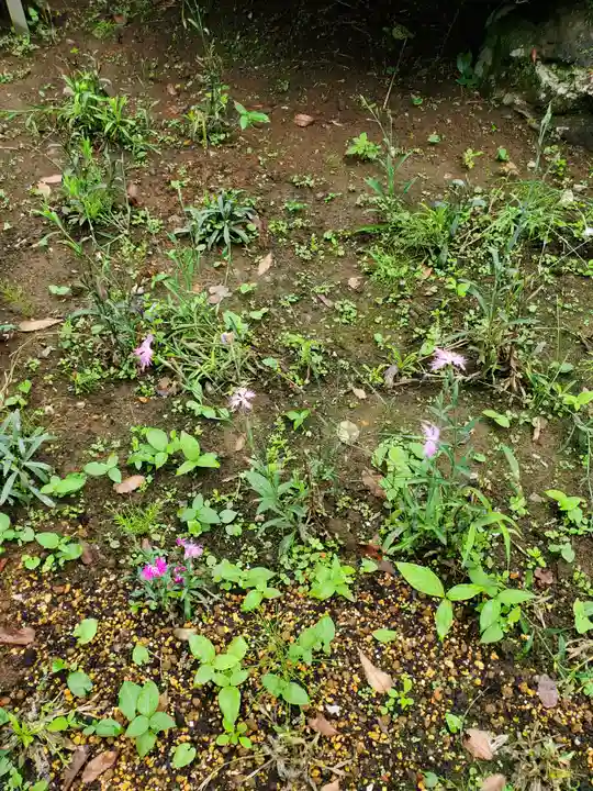 不動寺(埼玉県)