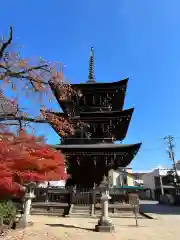 飛騨国分寺(岐阜県)