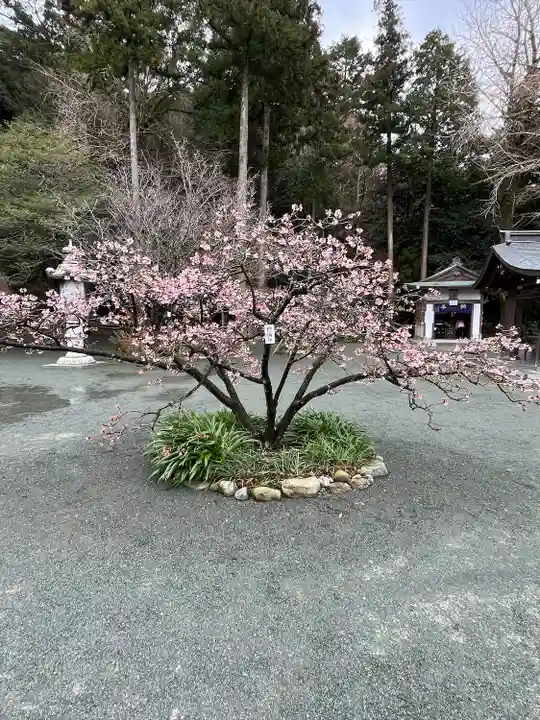 鎮國寺(福岡県)