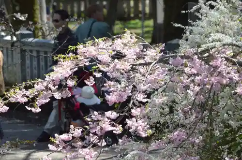 東円寺(山梨県)