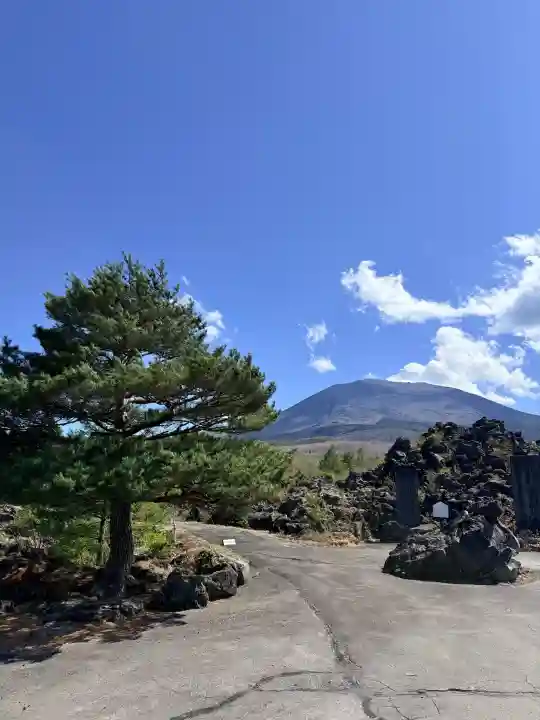 寛永寺別院浅間山観音堂の{uncategorized: "未分類", other: "その他", undefined: "問題あり", building: "その他建物", grave: "お墓", sacred_gate: "鳥居", guardian: "狛犬", statue: "像", buddha: "仏像", history: "歴史", nature: "自然", garden: "庭園", animal: "動物", pagoda: "塔", temizu: "手水舎", mountain_gate: "山門・神門", sanctuary: "本殿・本堂", subordinate: "末社・摂社", art: "芸術", scenery: "景色", jizo: "地蔵", ema: "絵馬", goshuin: "御朱印", omikuji: "おみくじ", items: "授与品その他", amulet: "お守り", goshuincho: "御朱印帳", eats: "食事", festival: "お祭り", votive_dance: "神楽", shichigosan: "七五三参", wedding: "結婚式", experience: "体験その他", initially: "初詣", around: "周辺", anti_infection: "感染症対策"}