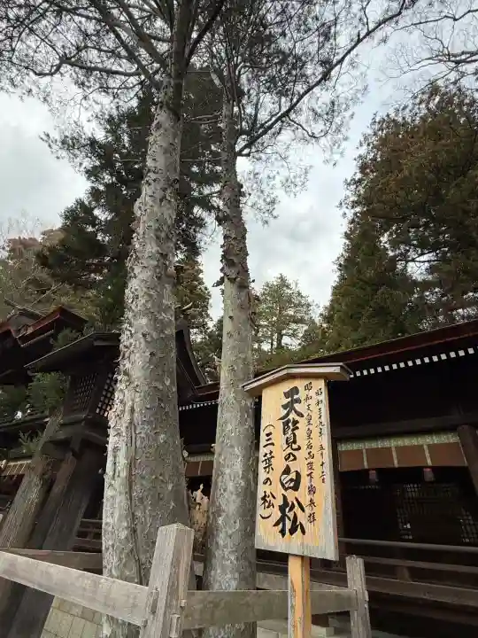 諏訪大社下社秋宮(長野県)