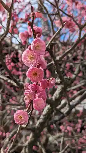 清凉寺(京都府)