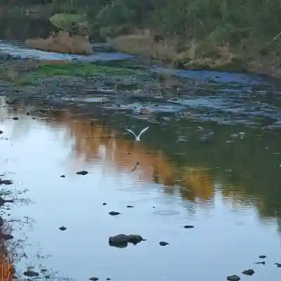 班渓寺の{uncategorized: "未分類", other: "その他", undefined: "問題あり", building: "その他建物", grave: "お墓", sacred_gate: "鳥居", guardian: "狛犬", statue: "像", buddha: "仏像", history: "歴史", nature: "自然", garden: "庭園", animal: "動物", pagoda: "塔", temizu: "手水舎", mountain_gate: "山門・神門", sanctuary: "本殿・本堂", subordinate: "末社・摂社", art: "芸術", scenery: "景色", jizo: "地蔵", ema: "絵馬", goshuin: "御朱印", omikuji: "おみくじ", items: "授与品その他", amulet: "お守り", goshuincho: "御朱印帳", eats: "食事", festival: "お祭り", votive_dance: "神楽", shichigosan: "七五三参", wedding: "結婚式", experience: "体験その他", initially: "初詣", around: "周辺", anti_infection: "感染症対策"}