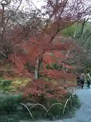 天龍寺(京都府)