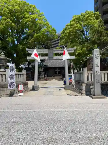 菅生神社の鳥居