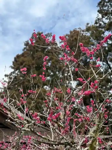 小國神社(静岡県)
