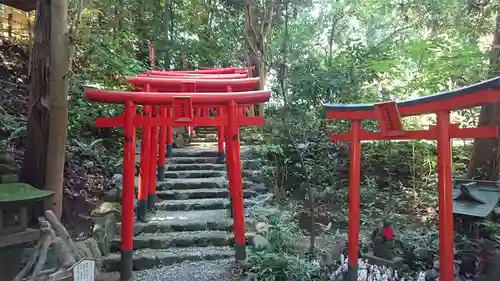 白笹稲荷神社の鳥居