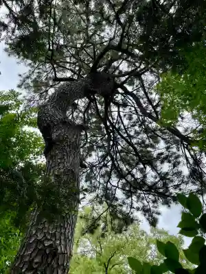 松先稲荷神社(千葉県)