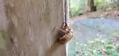 斗藏寺(宮城県)