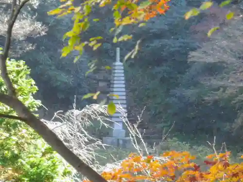 安國論寺（安国論寺）の自然