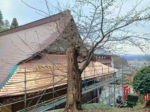 白狐山光星寺(山形県)