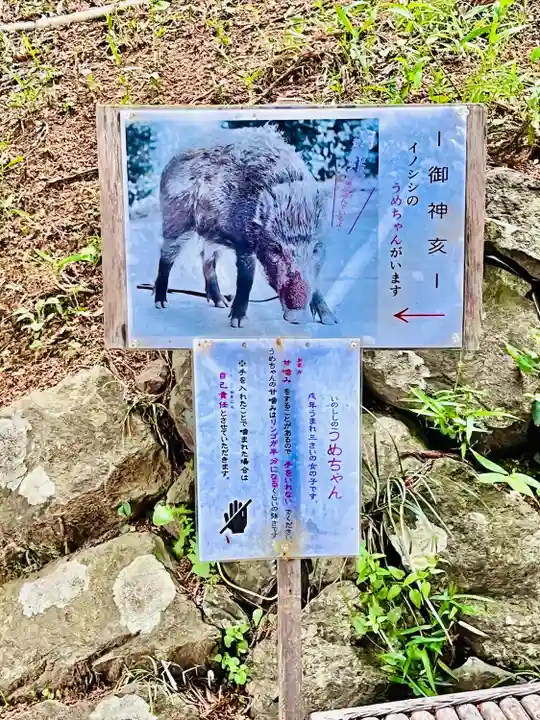 坪沼八幡神社(宮城県)