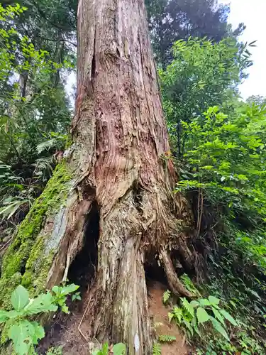 最乗寺（道了尊）(神奈川県)