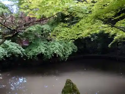 青葉神社(宮城県)
