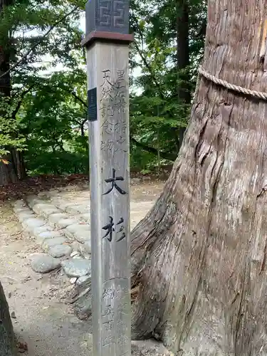 中野神社の建物その他