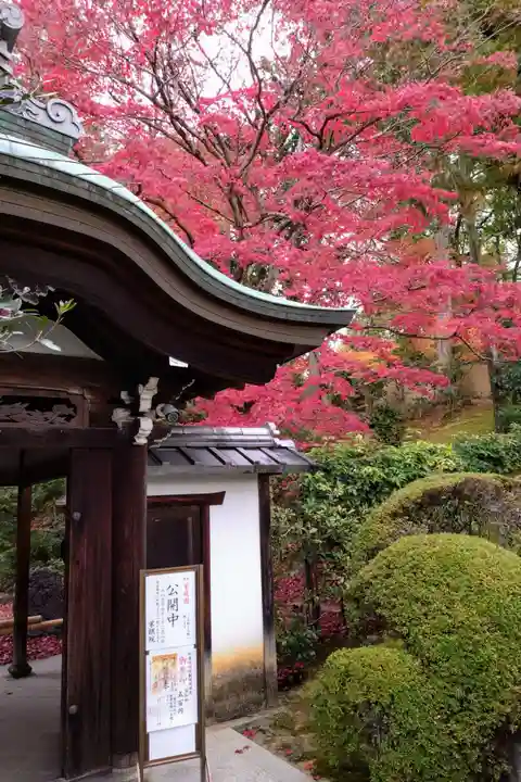 榮攝院(栄摂院)(京都府)