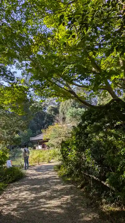 浄瑠璃寺(京都府)