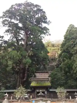 若狭姫神社（若狭彦神社下社）のその他建物