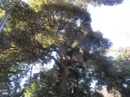 別所白山神社(神奈川県)