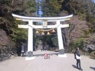 宝登山神社(埼玉県)