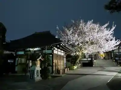 感通寺のその他建物