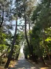 豪徳寺の建物その他