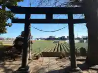 七右衛門新田稲荷神社(千葉県)