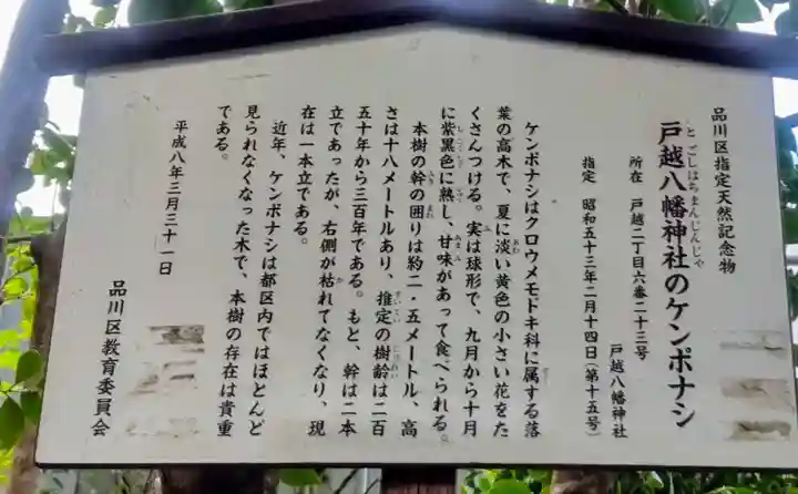 戸越八幡神社(東京都)