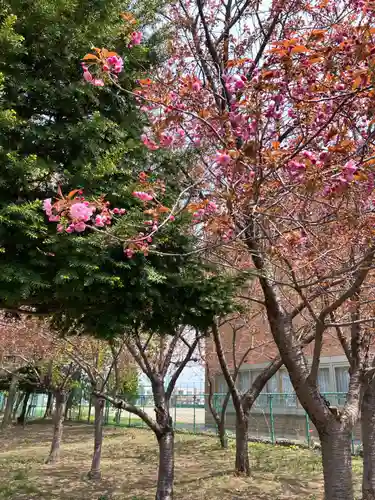 江南神社(北海道)