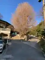 法勝寺(神奈川県)