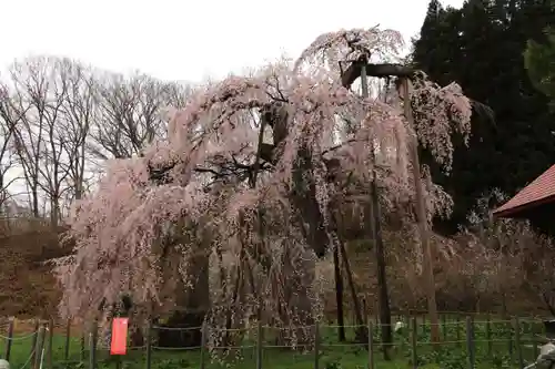 永泉寺の庭園