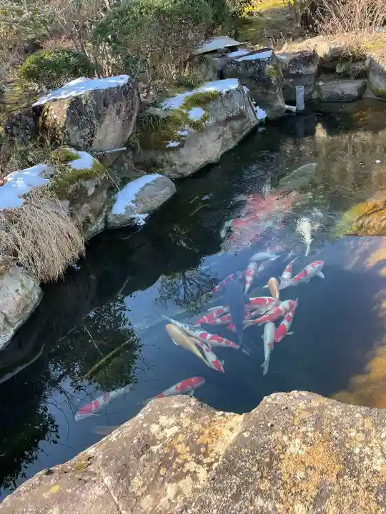萬勝寺(飯高観音)の動物