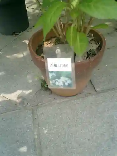 光則寺(神奈川県)