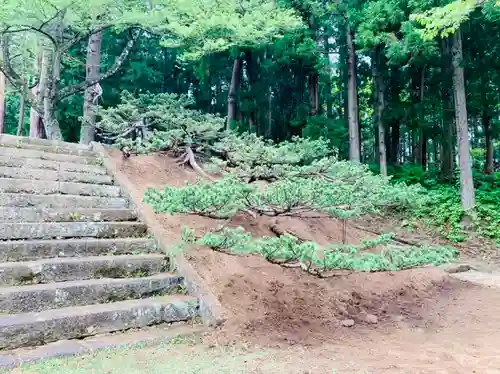 土津神社｜こどもと出世の神さまのその他建物