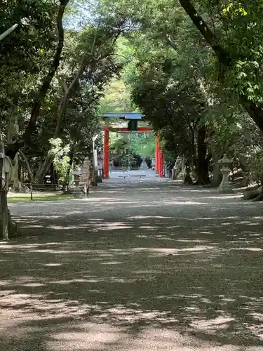 廣瀬大社(奈良県)