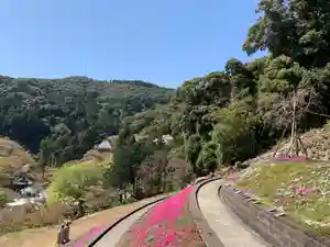 普門寺(切り絵御朱印発祥の寺)(愛知県)(2023年03月30日(木) 18時21分57秒投稿)