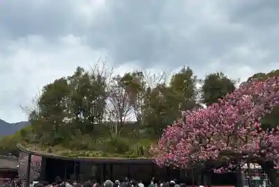 太宰府天満宮の{uncategorized: "未分類", other: "その他", undefined: "問題あり", building: "その他建物", grave: "お墓", sacred_gate: "鳥居", guardian: "狛犬", statue: "像", buddha: "仏像", history: "歴史", nature: "自然", garden: "庭園", animal: "動物", pagoda: "塔", temizu: "手水舎", mountain_gate: "山門・神門", sanctuary: "本殿・本堂", subordinate: "末社・摂社", art: "芸術", scenery: "景色", jizo: "地蔵", ema: "絵馬", goshuin: "御朱印", omikuji: "おみくじ", items: "授与品その他", amulet: "お守り", goshuincho: "御朱印帳", eats: "食事", festival: "お祭り", votive_dance: "神楽", shichigosan: "七五三参", wedding: "結婚式", experience: "体験その他", initially: "初詣", around: "周辺", anti_infection: "感染症対策"}