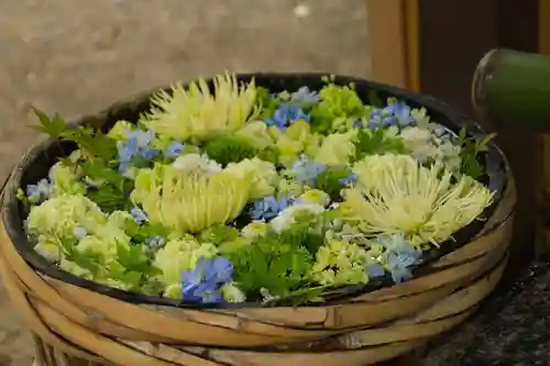 野見神社(大阪府)
