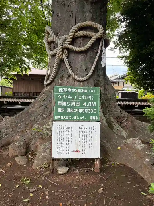 八坂神社(神奈川県)